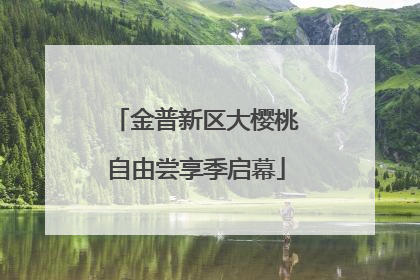 金普新区大樱桃自由尝享季启幕