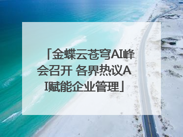 金蝶云苍穹AI峰会召开 各界热议AI赋能企业管理