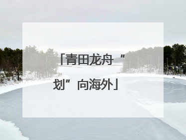 青田龙舟“划”向海外