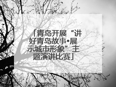 青岛开展“讲好青岛故事•展示城市形象”主题演讲比赛