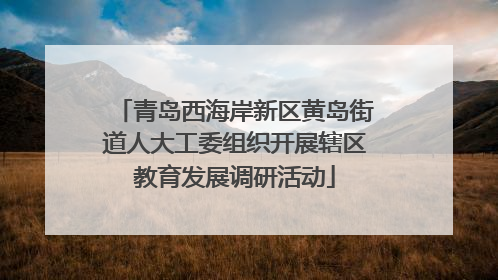 青岛西海岸新区黄岛街道人大工委组织开展辖区教育发展调研活动