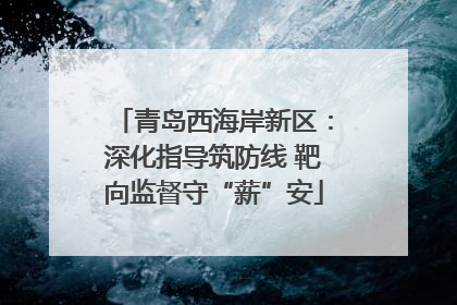 青岛西海岸新区：深化指导筑防线 靶向监督守“薪”安
