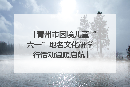 青州市困境儿童“六一”地名文化研学行活动温暖启航