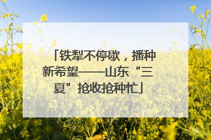 铁犁不停歇，播种新希望——山东“三夏”抢收抢种忙