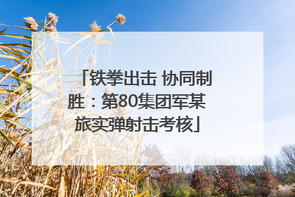 铁拳出击 协同制胜：第80集团军某旅实弹射击考核