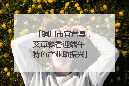 铜川市宜君县：艾草飘香迎端午 特色产业助振兴