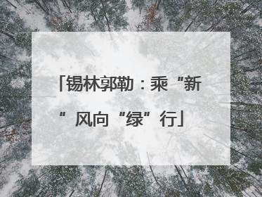 锡林郭勒：乘“新”风向“绿”行