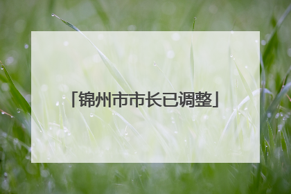 锦州市市长已调整