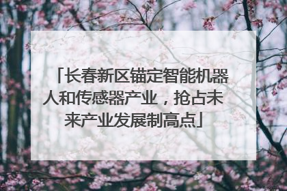 长春新区锚定智能机器人和传感器产业，抢占未来产业发展制高点