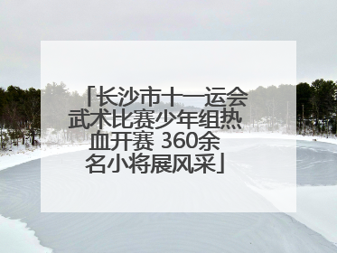 长沙市十一运会武术比赛少年组热血开赛 360余名小将展风采
