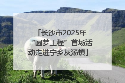 长沙市2025年“圆梦工程”首场活动走进宁乡灰汤镇