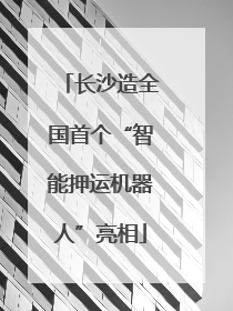 长沙造全国首个“智能押运机器人”亮相