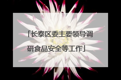 长泰区委主要领导调研食品安全等工作
