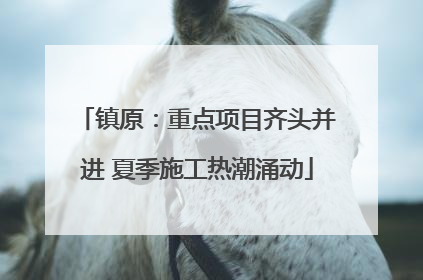 镇原：重点项目齐头并进 夏季施工热潮涌动