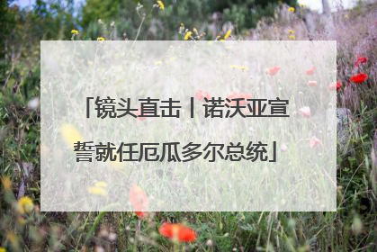 镜头直击丨诺沃亚宣誓就任厄瓜多尔总统