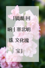 镜观·回响丨塞北明珠 文化瑰宝