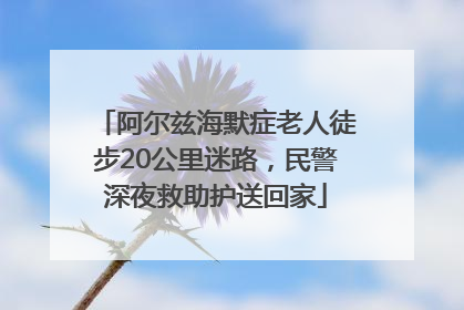 阿尔兹海默症老人徒步20公里迷路，民警深夜救助护送回家