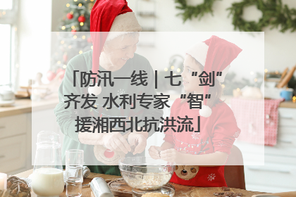 防汛一线｜七“剑”齐发 水利专家“智”援湘西北抗洪流