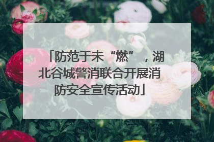 防范于未“燃”，湖北谷城警消联合开展消防安全宣传活动