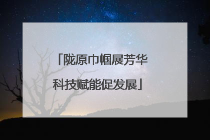 陇原巾帼展芳华 科技赋能促发展