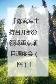 陈武军主持召开部分领域重点项目调度会（图）