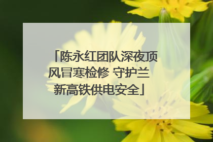 陈永红团队深夜顶风冒寒检修 守护兰新高铁供电安全