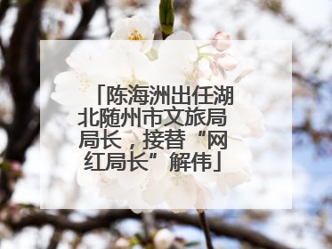 陈海洲出任湖北随州市文旅局局长，接替“网红局长”解伟