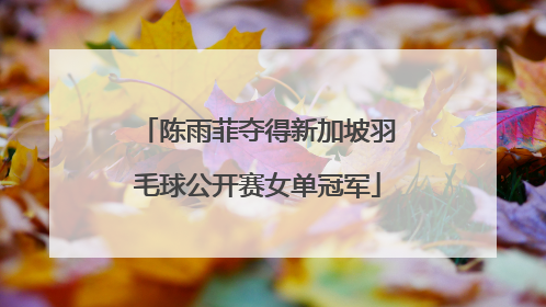 陈雨菲夺得新加坡羽毛球公开赛女单冠军