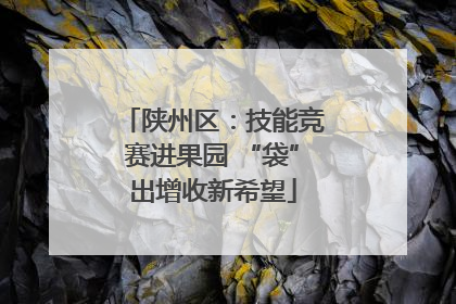 陕州区：技能竞赛进果园 “袋”出增收新希望