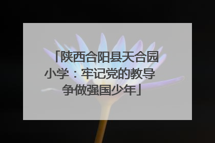 陕西合阳县天合园小学：牢记党的教导 争做强国少年