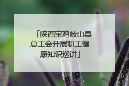 陕西宝鸡岐山县总工会开展职工健康知识巡讲