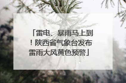 雷电、暴雨马上到！陕西省气象台发布雷雨大风黄色预警