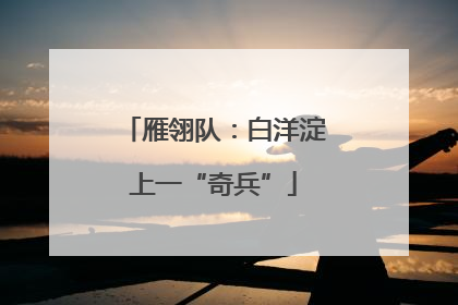 雁翎队：白洋淀上一“奇兵”