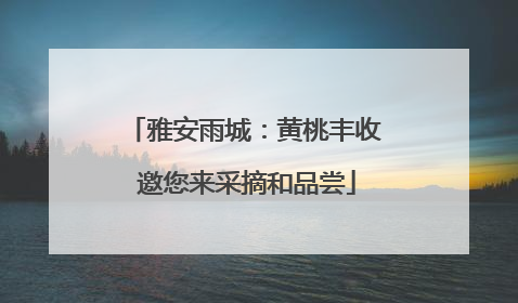 雅安雨城：黄桃丰收 邀您来采摘和品尝