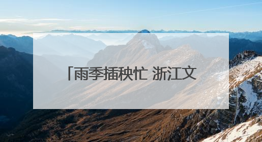 雨季插秧忙 浙江文成“丰”光美如画