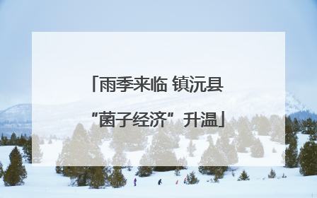 雨季来临 镇沅县“菌子经济”升温