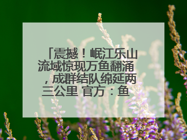 震撼！岷江乐山流域惊现万鱼翻涌，成群结队绵延两三公里 官方：鱼群在此产卵