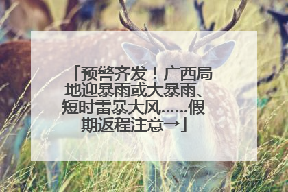 预警齐发！广西局地迎暴雨或大暴雨、短时雷暴大风……假期返程注意→