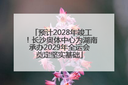 预计2028年竣工！长沙奥体中心为湖南承办2029年全运会奠定坚实基础