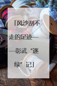 风沙刮不走的足迹——彰武“逐绿”记
