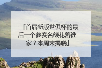 首届新版世俱杯的最后一个参赛名额花落谁家？本周末揭晓