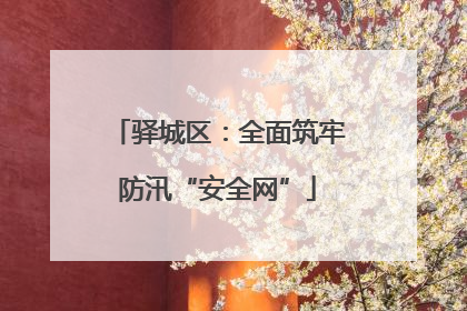驿城区：全面筑牢防汛“安全网”