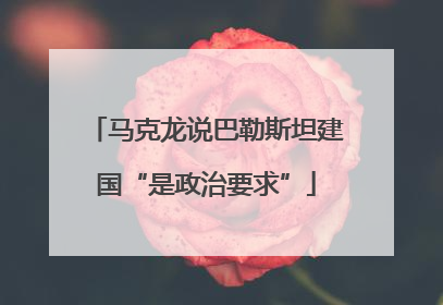 马克龙说巴勒斯坦建国“是政治要求”