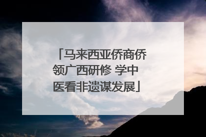 马来西亚侨商侨领广西研修 学中医看非遗谋发展