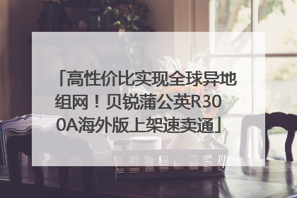 高性价比实现全球异地组网！贝锐蒲公英R300A海外版上架速卖通