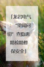 龙岩电气：“望闻问切”查隐患 精检精修保安全