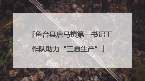 鱼台县唐马镇第一书记工作队助力“三夏生产”