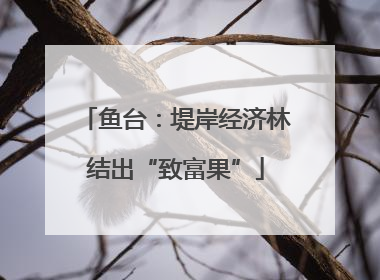 鱼台：堤岸经济林结出“致富果”