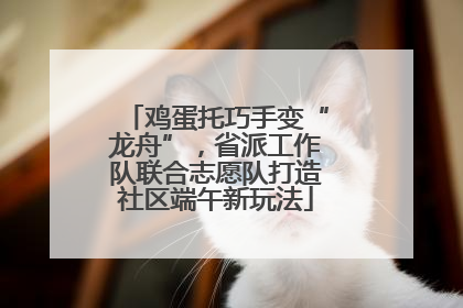 鸡蛋托巧手变“龙舟”，省派工作队联合志愿队打造社区端午新玩法