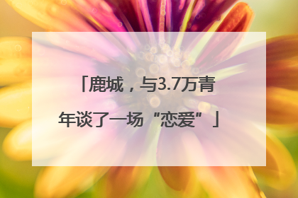 鹿城，与3.7万青年谈了一场“恋爱”